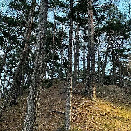 Apartament Daukanto Apartmentas