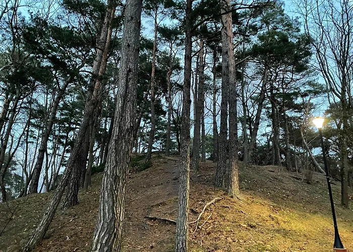 Apartmán Daukanto Apartmentas