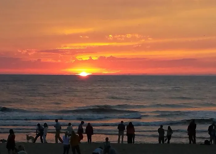 Daukanto Apartmentas Palanga